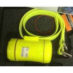 Collare Beretti Beeper 2000 xp con modulo per radiocomando nel colore giallo