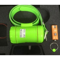 Collare Beretti Beeper 2000 xp con modulo per radiocomando nel colore verde