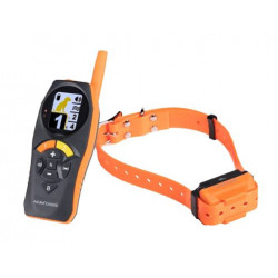 Collare educativo Canicom modello R-500